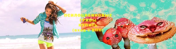 mix Каменка