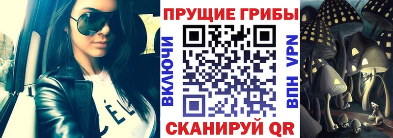 Псилоцибиновые грибы GOLDEN TEACHER  купить наркоту  Домодедово 