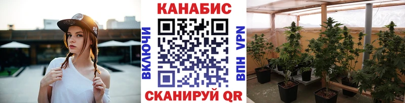 Канабис семена  Домодедово 